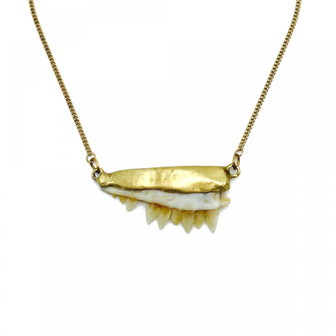 barracuda-jaw-necklace