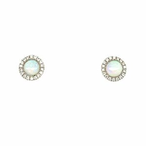 White Gold Opal Earrings