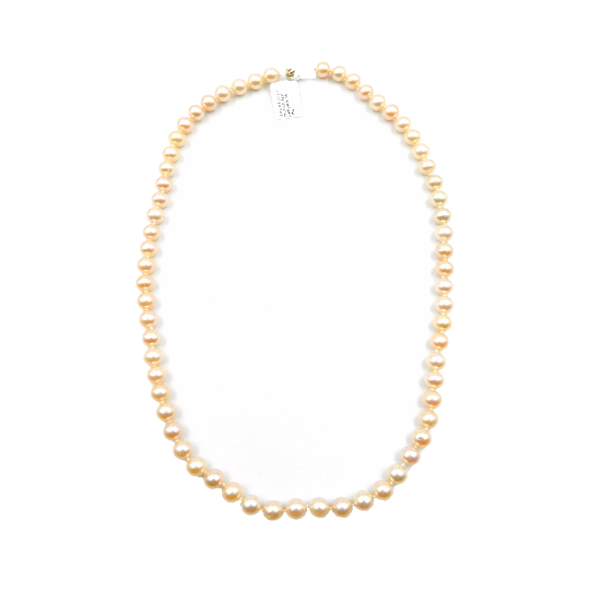 Freshwater Pearl Strand Necklace