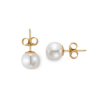 Yellow Gold Freshwater Pearl Stud Earrings