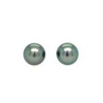 Tahitian Pearl Stud Earrings