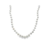 Freshwater Pearl Strand Necklace